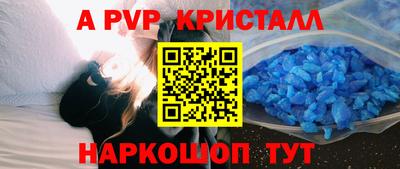 дмт Кингисепп