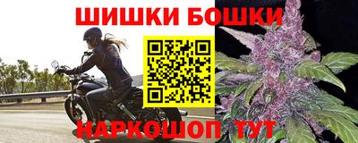 дмт Кингисепп