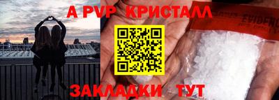 дмт Кингисепп
