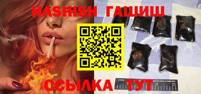 дмт Кингисепп