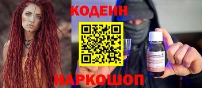 дмт Кингисепп