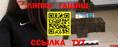дмт Кингисепп
