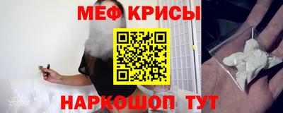 дмт Кингисепп