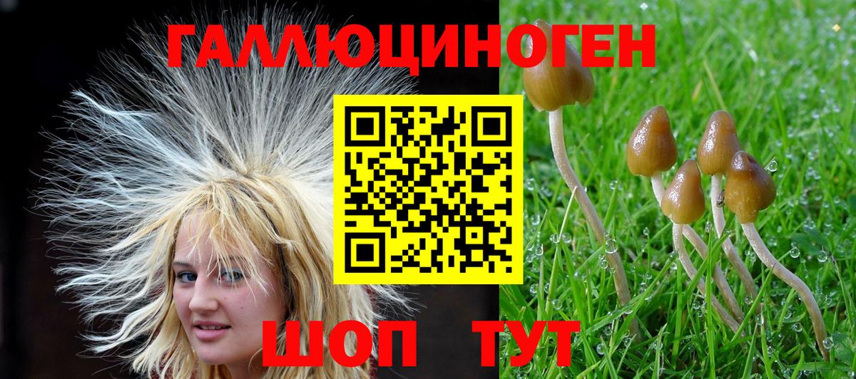 Псилоцибиновые грибы GOLDEN TEACHER  Уварово 