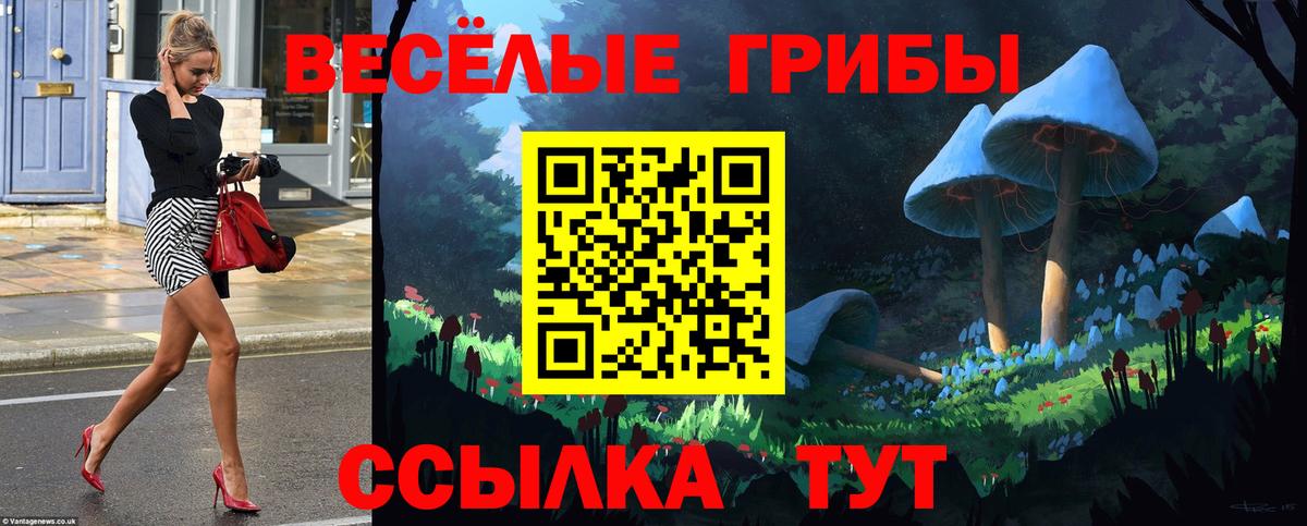Уварово  Галлюциногенные грибы Cubensis  Вход с VPN 