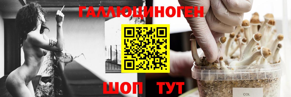 Псилоцибиновые грибы прущие грибы Уварово